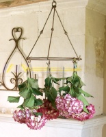 Bloemen en kruidendroger